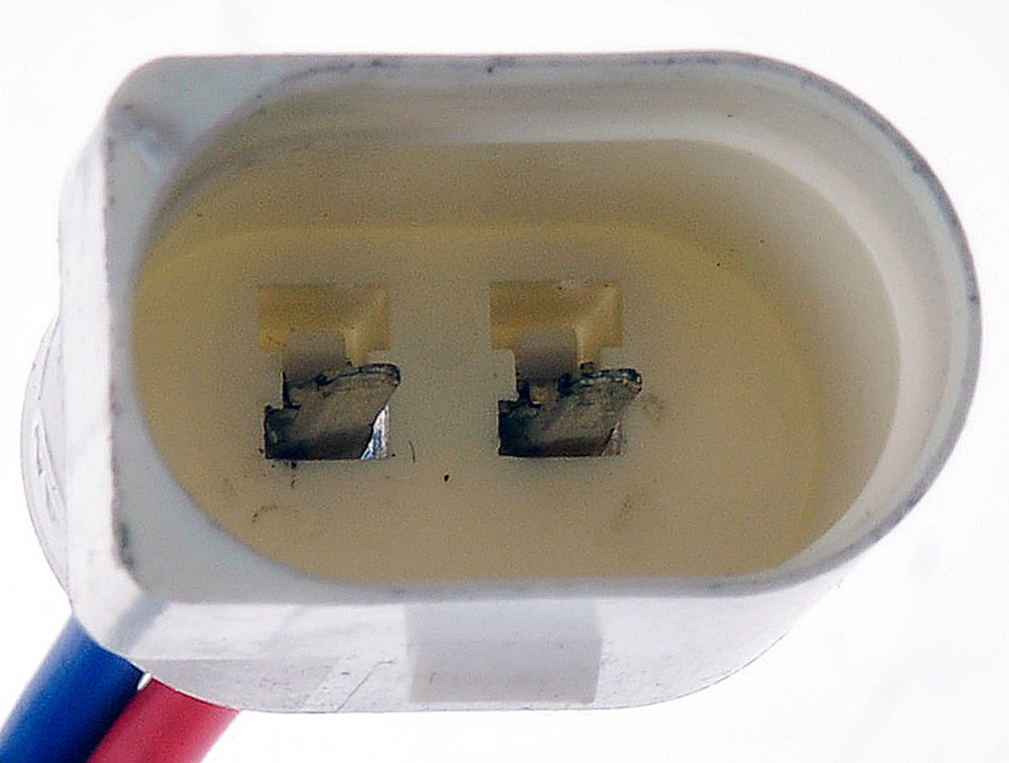 Power Window Regulator w/ Motor (Dorman 741-486) Rear Left