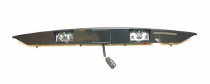 OEM GM 15915681 Liftgate Applique CARBON FLASH NO Camera & Emblem 07-14