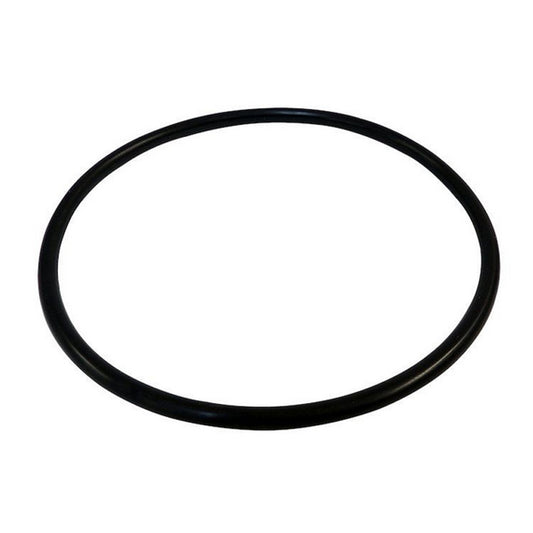 O-Ring, Fuel Module - Crown# 55366298AA