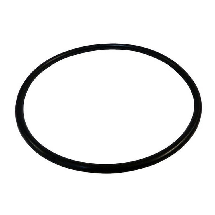 O-Ring, Fuel Module - Crown# 55366298AA