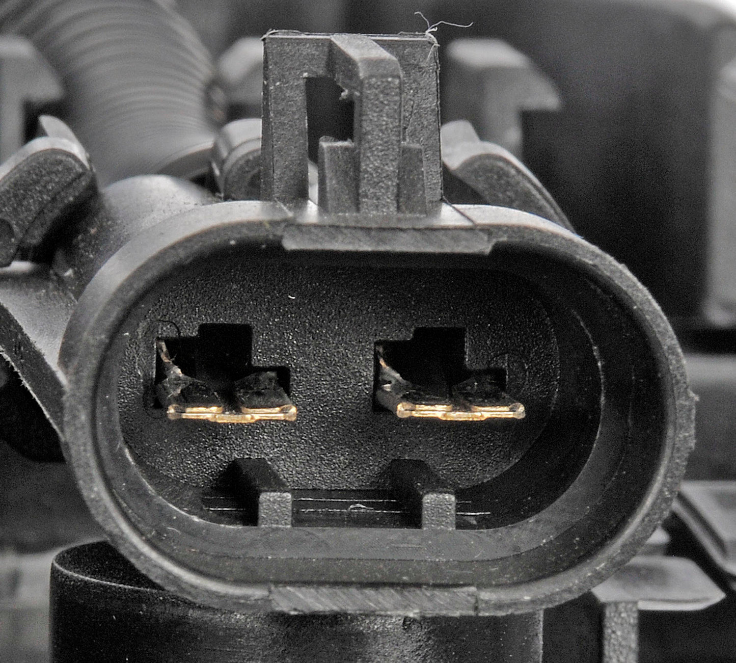 Engine Cooling Fan Assembly Dorman 621-569