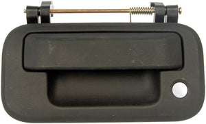 Tailgate Handle (Dorman #79606)