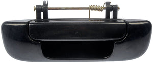 Tailgate Handle (Dorman #80620)