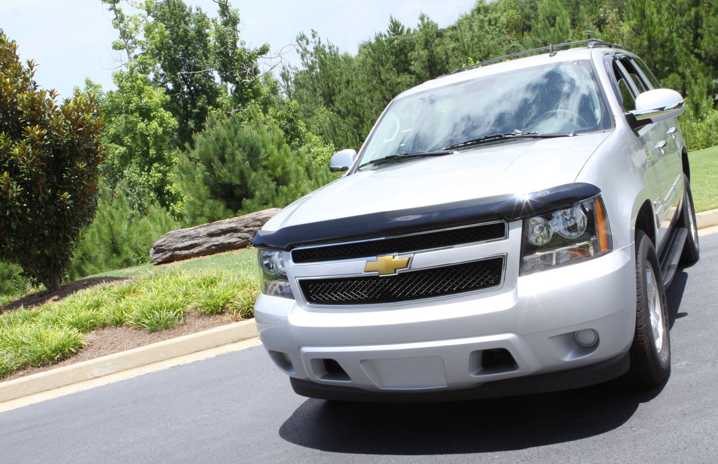 NEW BUGFLECTOR II - AVS# 25303