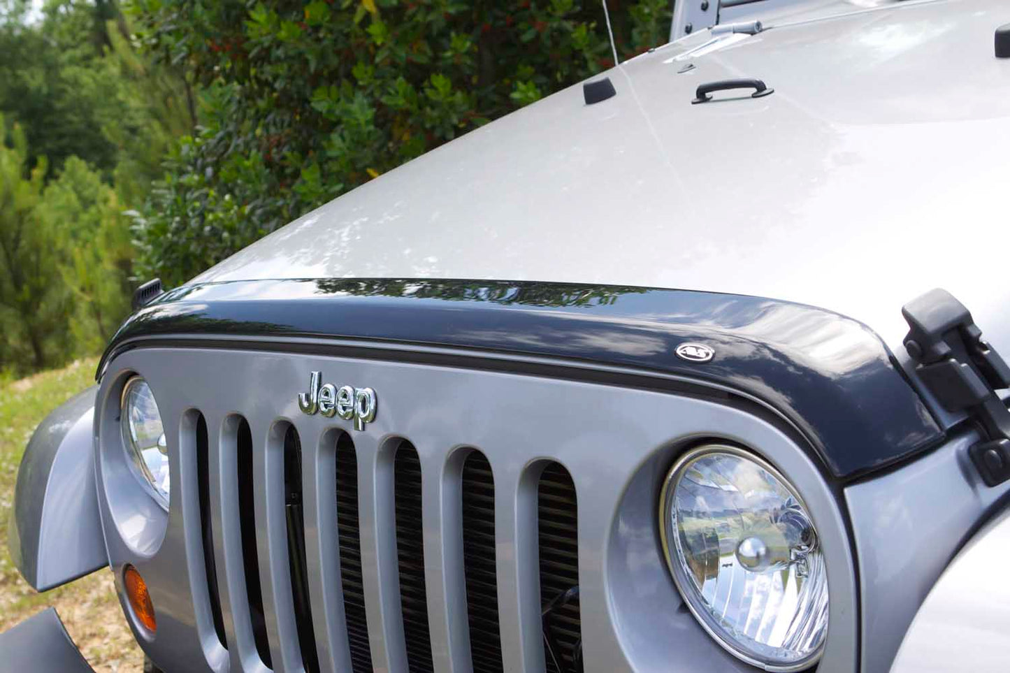 NEW AEROSKIN ACRYLIC HOODPROTECTOR - AVS# 322060