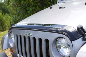 NEW AEROSKIN ACRYLIC HOODPROTECTOR - AVS# 322060