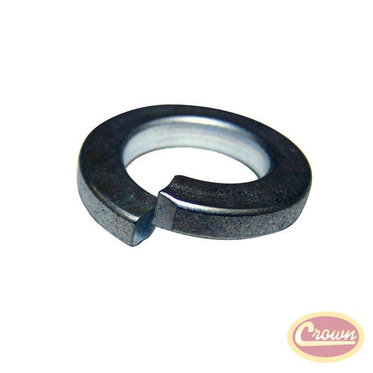Nut - Crown# G120368