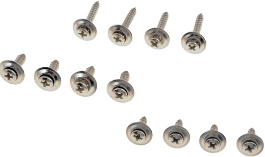 Chrome Trim Screw Assortment - Dorman# 02404