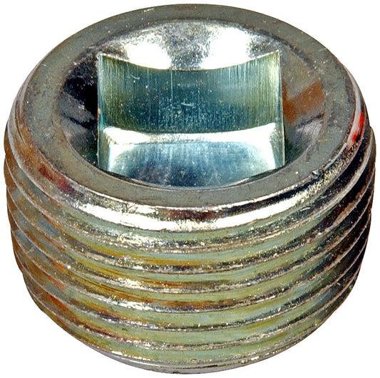 Pipe Plug (Dorman #090-101)