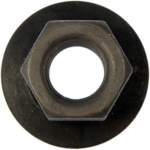 Nut (Dorman #252-132)