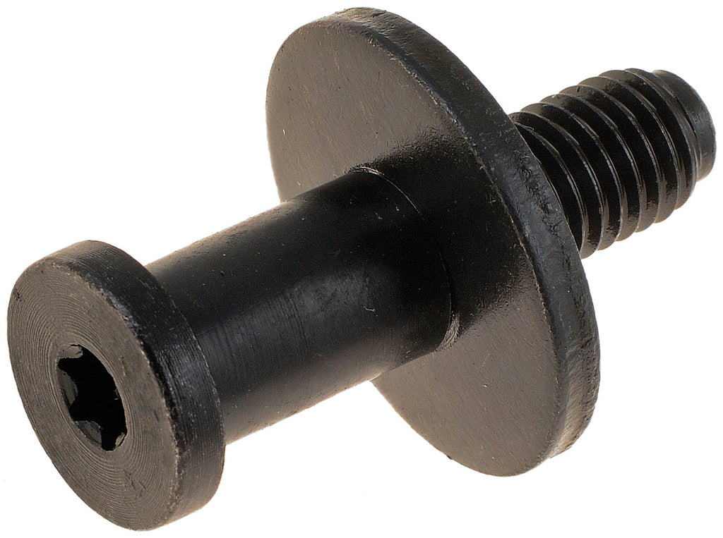Tailgate Striker Bolt (Dorman #38427)