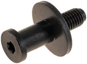 Tailgate Striker Bolt (Dorman #38427)