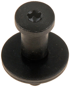 Tailgate Striker Bolt (Dorman #38427)