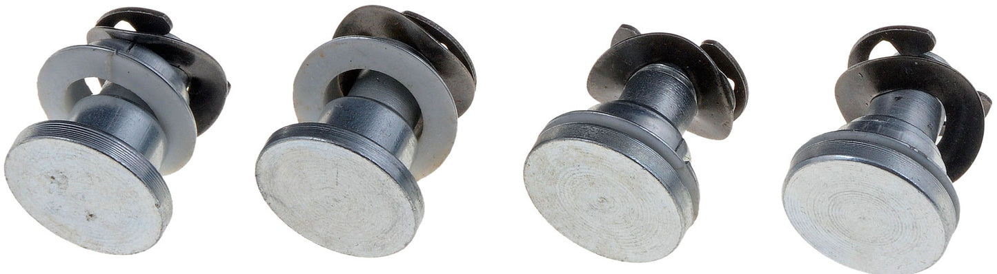 Door Hinge Pin & Bushing Kit (Dorman #38431)