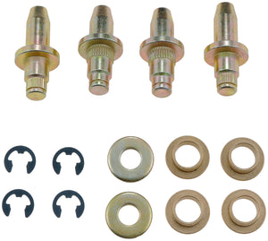 Door Hinge Pin & Bushing Kit (Dorman #38437)