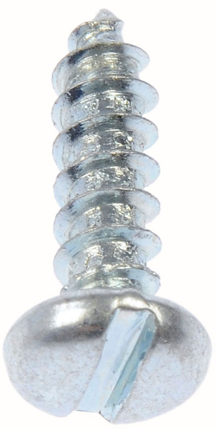 Sheet Metal Screw-Slotted Pan Head- No. 6 x 1/2 In. - Dorman# 355-062