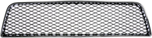 Center Bumper Grille (Dorman 45171)