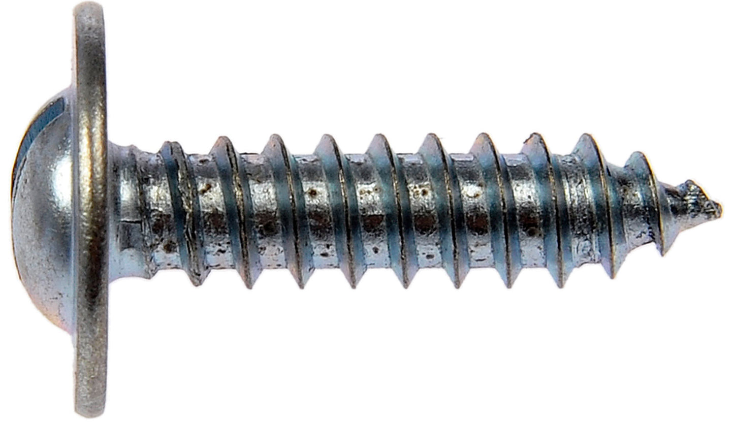 License Plate Retainer / Fastener 10X3/4 (Dorman #395-029)