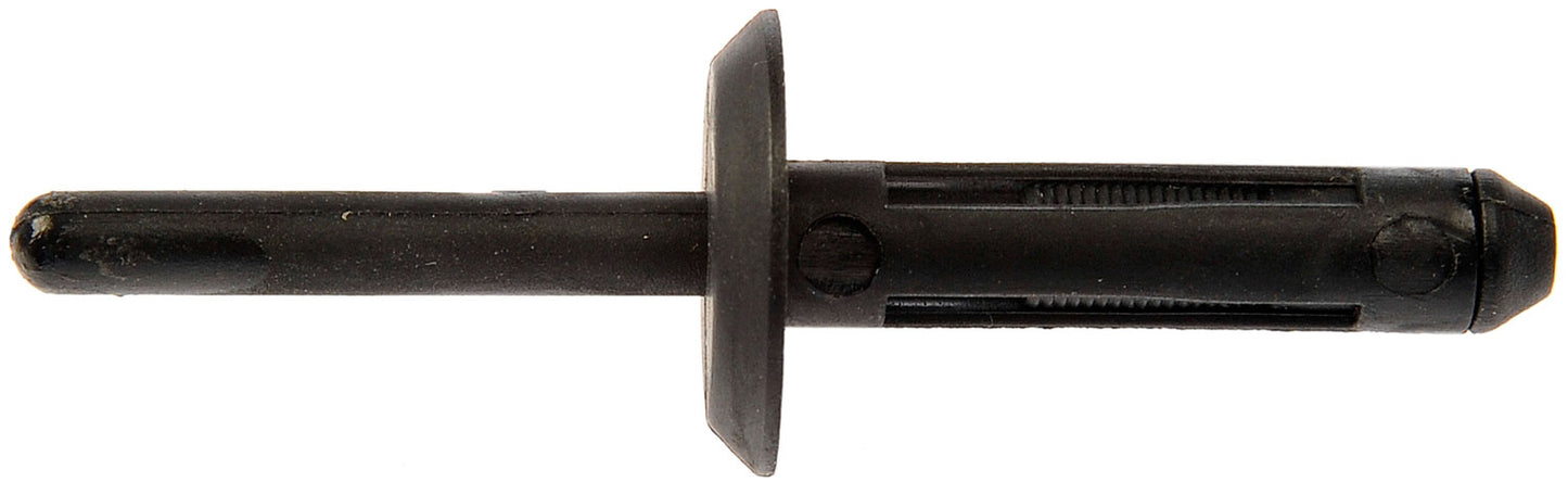 Rivet (Dorman #700-595)