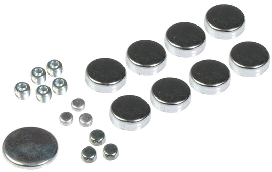 Gm Steel Expansion Plug Kit, 13 Expansion Plugs, 7 Pipe Plugs - Dorman# 557-003