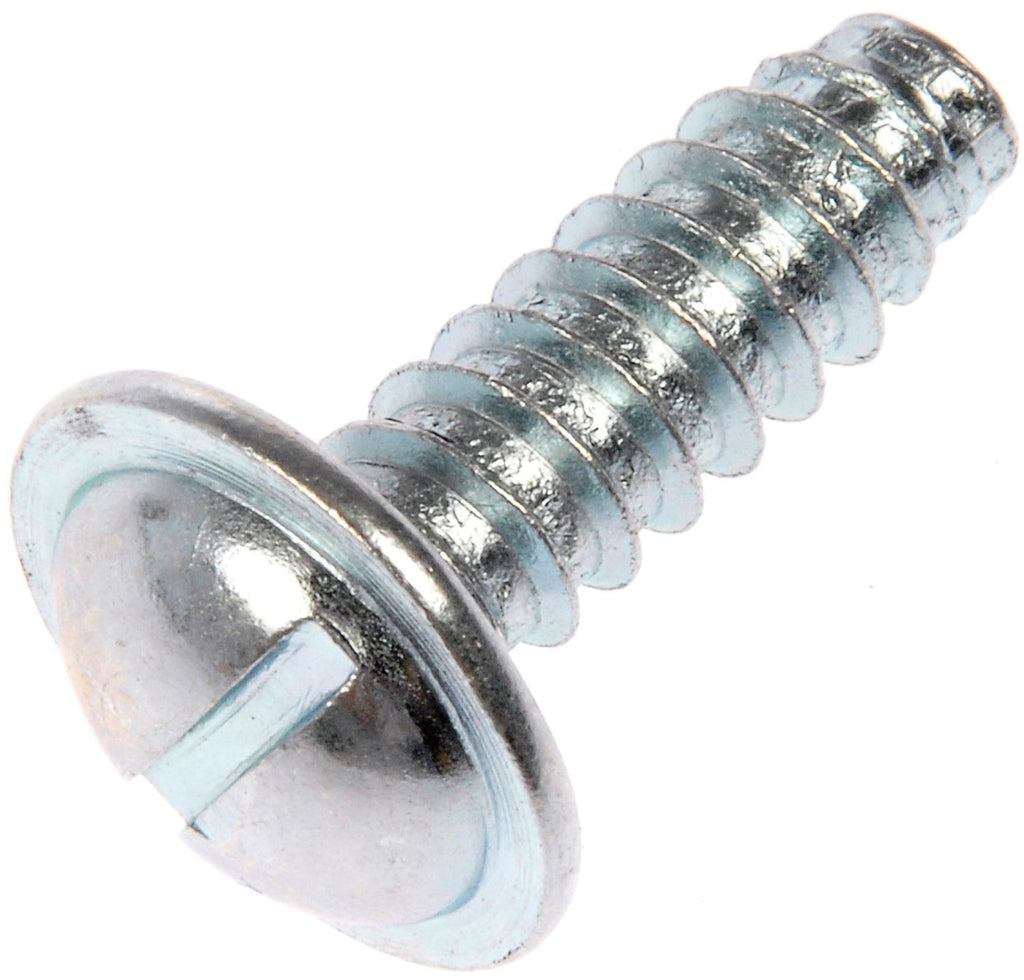License Plate Fasteners-1/4 In. (No. 14) x 3/4 In. - Dorman# 02405