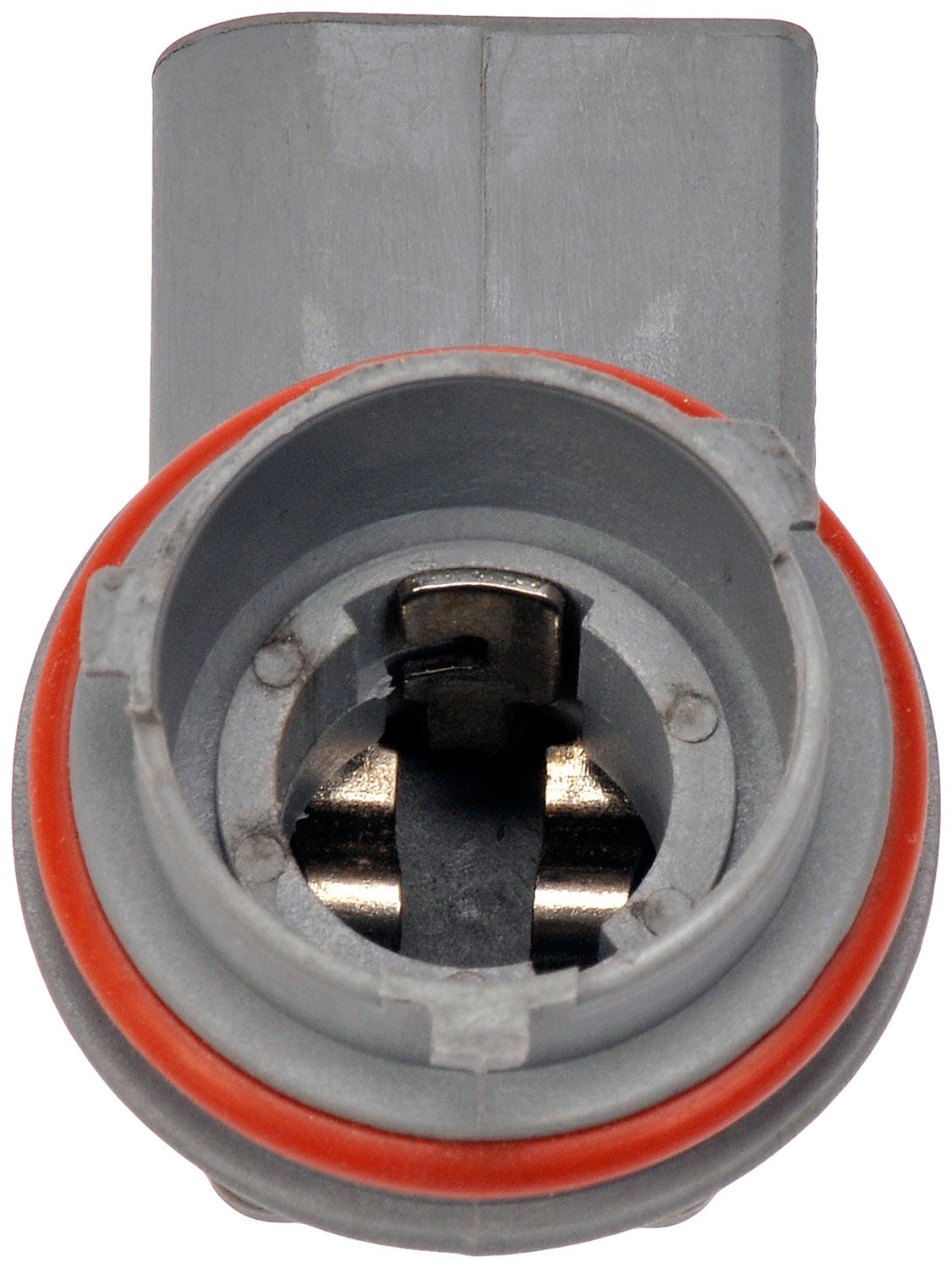 Tail Lamp Socket (Dorman# 645-562)