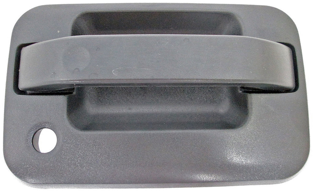 Outside Door Handle (Dorman #79309)