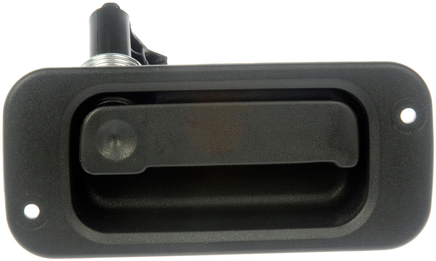 Outside Door Handle (Dorman #81361)