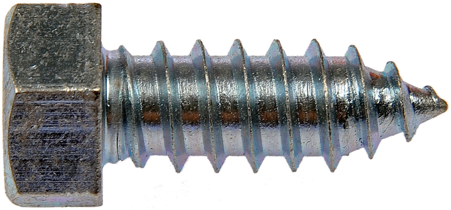 Screw (Dorman #365-204)