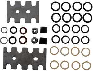 Fuel Injector O-Ring Kit (Dorman #90000)