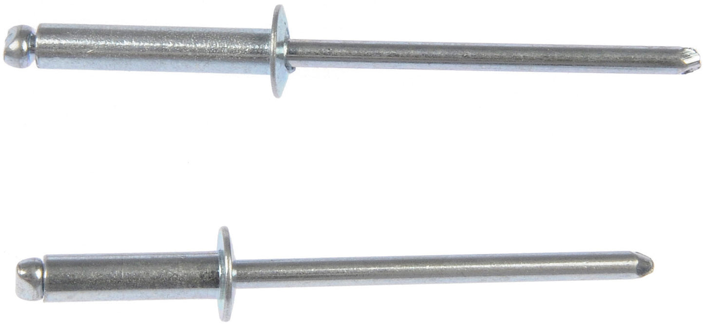 Rivet - Steel - 1/8 In.-Assortment - Dorman# 961-020