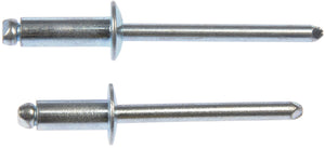 Rivet - Steel - 3/16 In.-Assortment - Dorman# 961-035