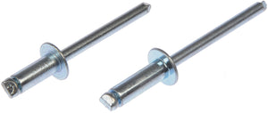 Rivet - Steel - 3/16 In.-Assortment - Dorman# 961-035