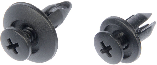 Rivet-Nylon Assortment-1/4 In. - Dorman# 961-045