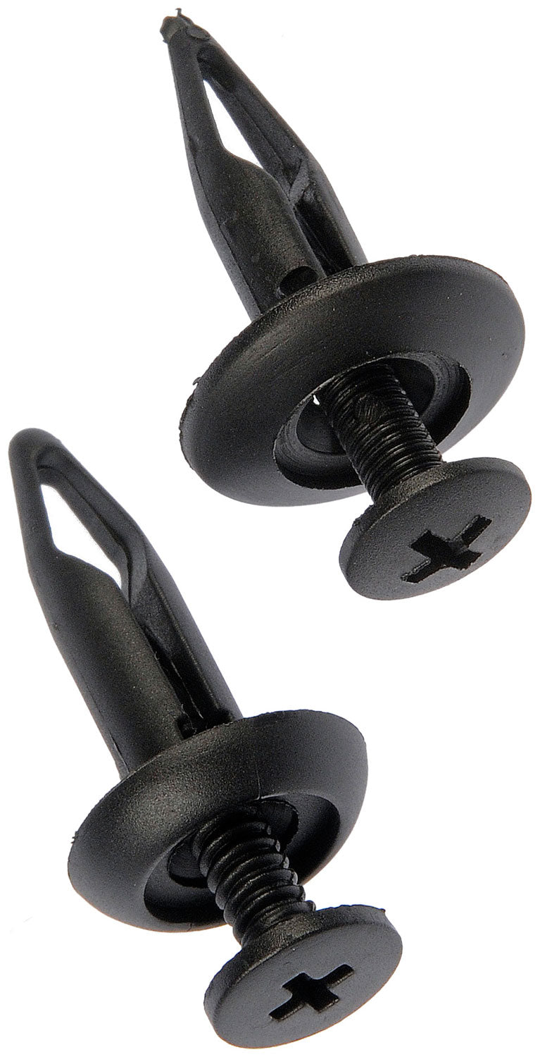 Rivet-Nylon Assortment-1/4 In. - Dorman# 961-050