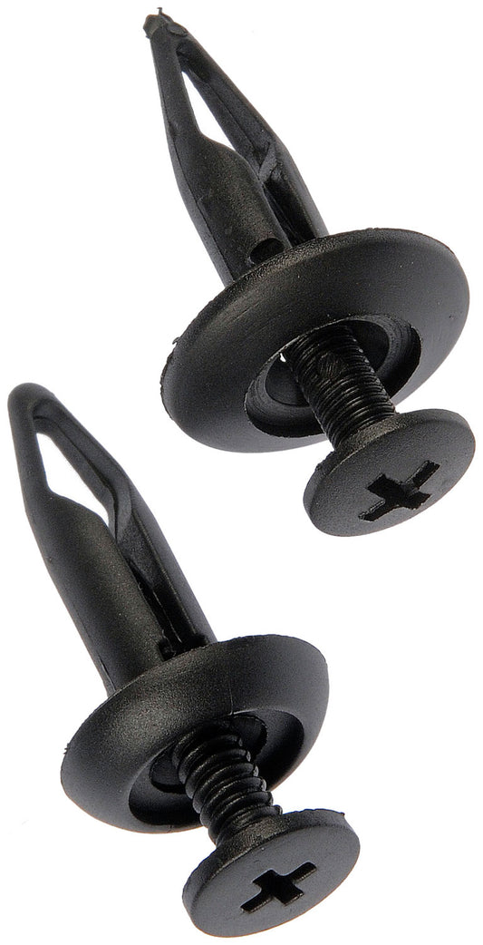 Rivet-Nylon Assortment-1/4 In. - Dorman# 961-050