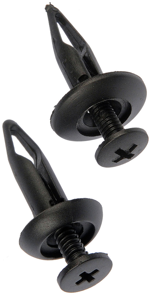 Rivet-Nylon Assortment-1/4 In. - Dorman# 961-050