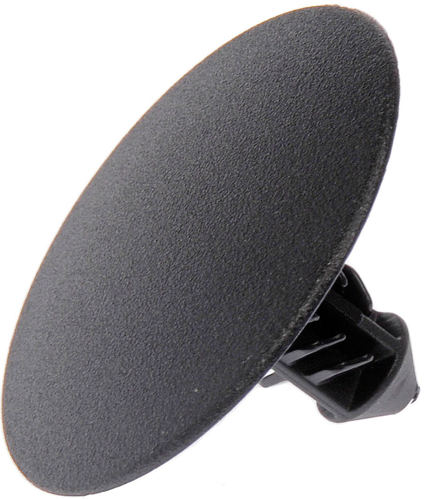 HOOD INSULATIONRTNR - Dorman# 963-403