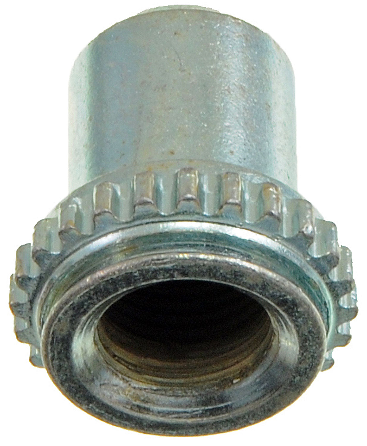 Drum Brake Adjusting Screw - Dorman# HW1852