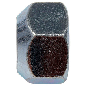 10 Wheel Lug Nut (Dorman #611-053)