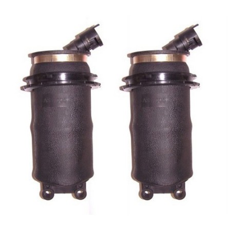 Two New Westar AS-7006 Rear Air Springs (Left and Right)