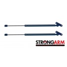 Pack of 2  Hatch Lift Support 4321,904502W300 Fits 96-04 Pathfinder