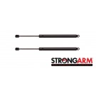 Pack of 2  Trunk Lid Lift Support 6698