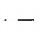 New Trunk Lid Lift Support 4101