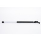 New Hatch Lift Support 6146L