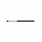 New Trunk Lid Lift Support 6698