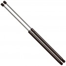 Two Hood Lift Supports (Shocks/Struts/Arm Props/Gas Springs) 4289