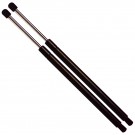 Two Tailgate Lift Supports (Shocks/Struts/Arm Props/Gas Springs) 4853