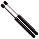 Two Back Glass Lift Supports (Shock/Strut/Arm Prop/Gas Spring) 6253