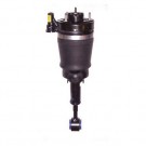 One New Westar AS-7315 Rear Air Strut (Left or Right)